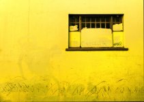 01 January 2016 - (Can't) Look Out My Window.jpg