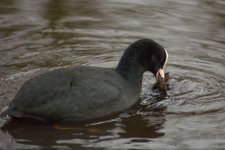 DSC_7564-Edit.jpg