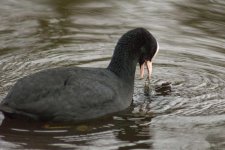 DSC_7565.jpg