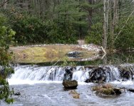 _DSC4778.jpg