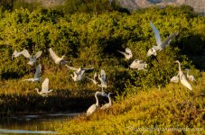 DSC_5694.jpg