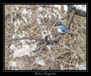 W_DSC_0243.jpg