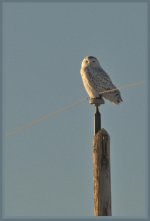 DSC_3914 -1.jpg