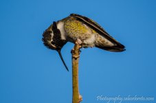DSC_5808.jpg