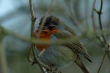 DSC_7613.jpg