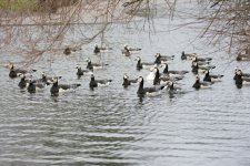 DSC_3845.jpg