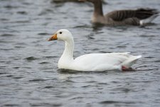DSC_3801.jpg