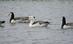 DSC_3840.jpg