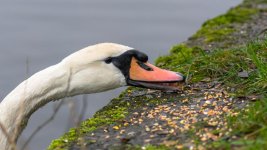 DSC_7634.jpg