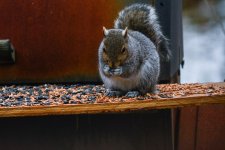 _DSC4580.jpg