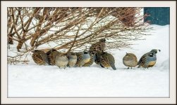 DSC_0401.jpg