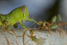 DSC_3994.jpg