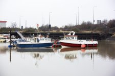 DSC_4538.jpg