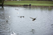 DSC_4558.jpg