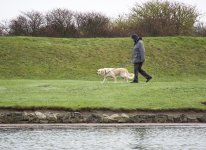 DSC_4559.jpg