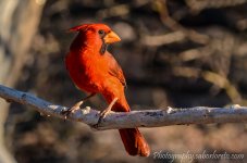 DSC_5835.jpg