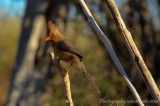 DSC_5838.jpg