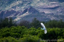 DSC_5958.jpg