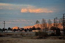 ROY_5024 - Copy.JPG