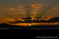 DSC_6009.jpg