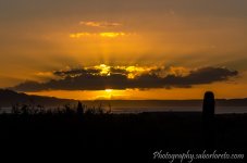 DSC_6018.jpg