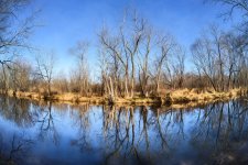 20160103-5-Normal 40.jpg