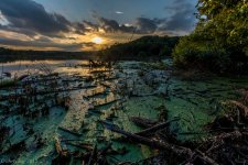 DSC_3531-HDR.jpg