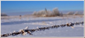 DSC_6325 -1.jpg