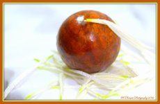 Avocado Pit with Flower Petals 1-5-2016.jpg