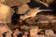 DSC_5847.jpg