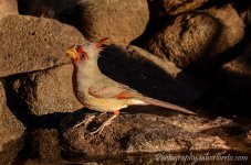 DSC_5849.jpg