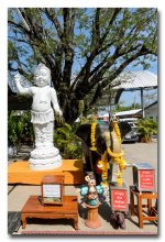 Wat-Saman-Rattanaram1-3.jpg