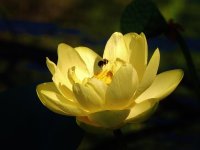 DSCN9148.jpg