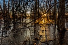 untitled-5319-2.jpg