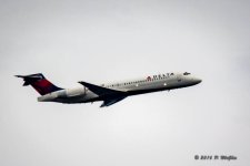 D71_8091.jpg