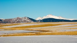 SnowField-101.jpg