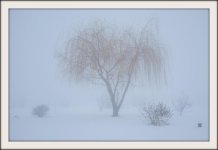 DSC_1875-2.jpg