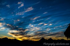 DSC_6073.jpg