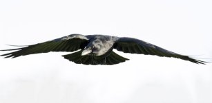 DSC_4107.jpg