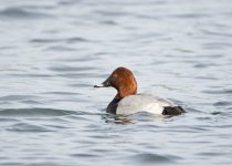 DSC_4127.jpg