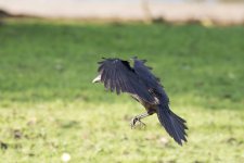 DSC_4049.jpg