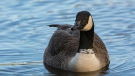 DSC_7730.jpg