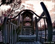 1-8-15 Arboredum IR Fisheye     2.jpg
