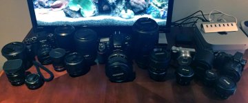 Gear.jpg