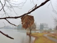 DSCN9560.jpg