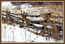 North Ogden Fence 1-8-2016.jpg