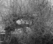 b_DSC_0031.jpg