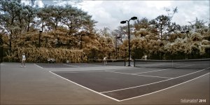 1-8-15 Arboredum IR Fisheye     11.jpg