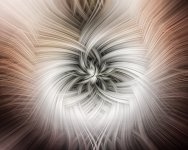 20160109-twirl.jpg