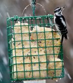 _DSC4670.jpg